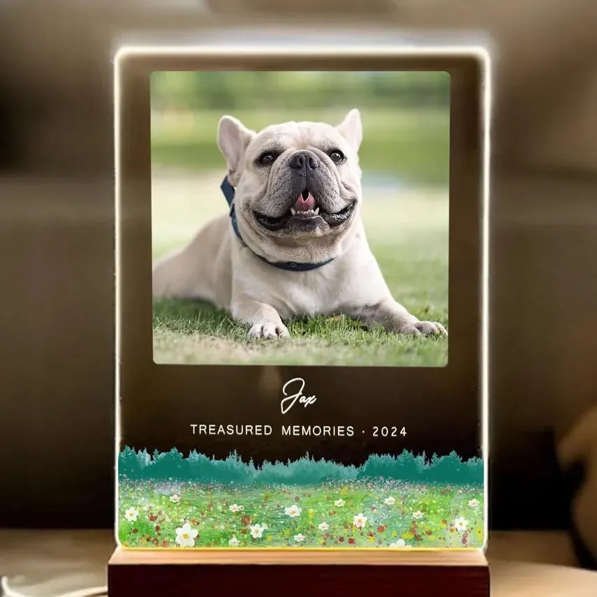 Pet Memorial Frames 9 Digital & Lighted Frames pet memorial