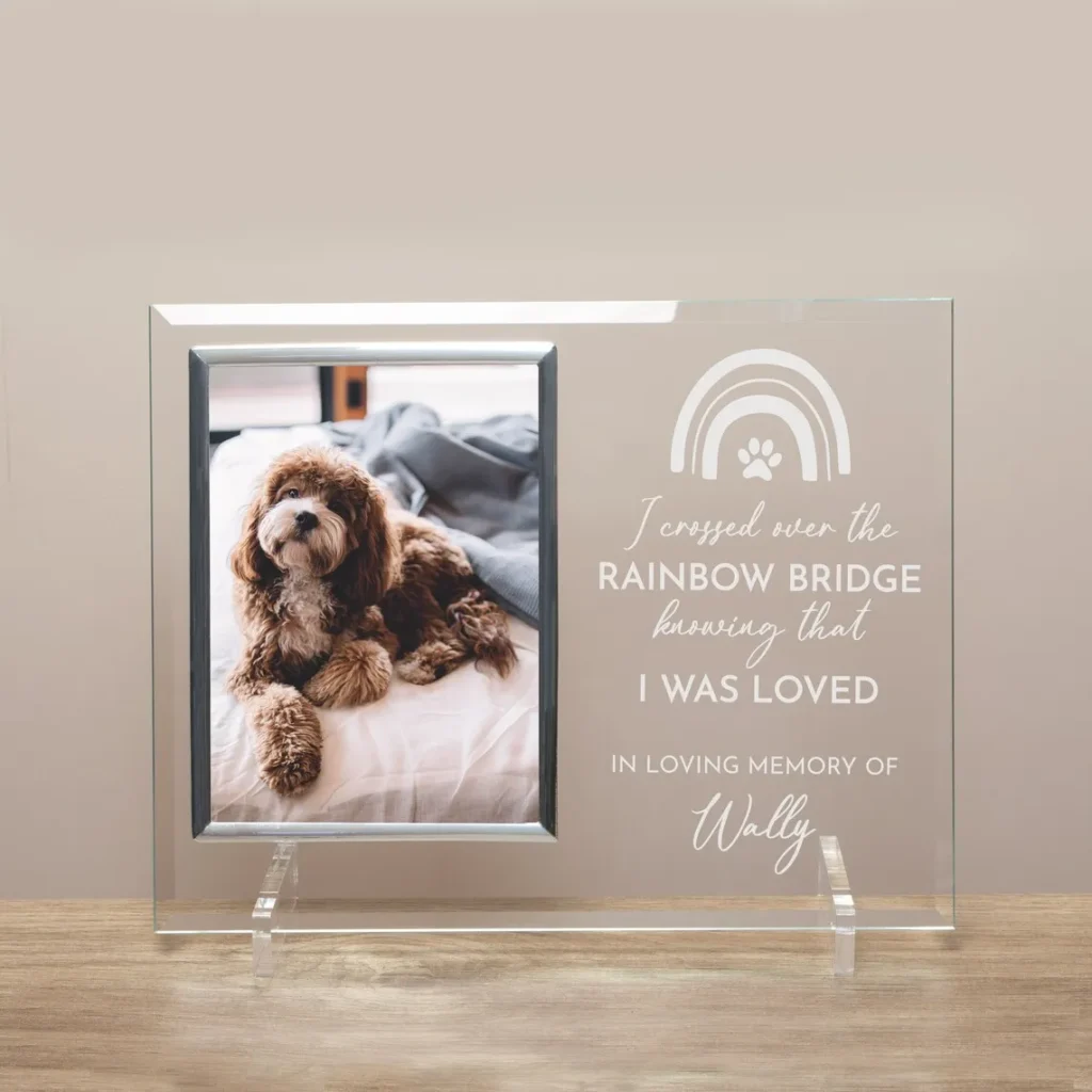 Pet Memorial Frames 6 Glass, Metal & Modern Frames pet memorial