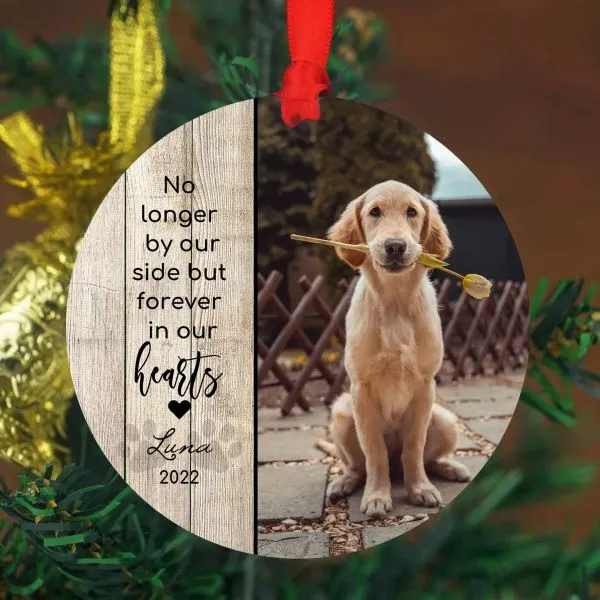 Pet Memorial Frames 8 Holiday or Seasonal Frames