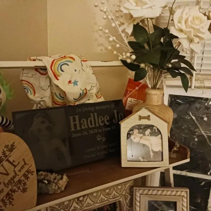 Granite Memorial Stones for Pet 3 Opt for smaller polished pieces for elegant interior remembrance