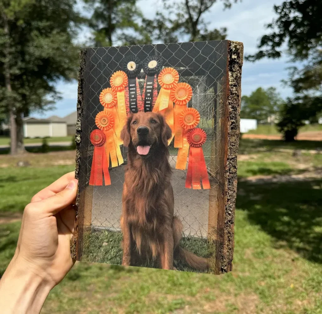 Pet Memorial Frames 5 Wood & Rustic Designs frame pet memorial