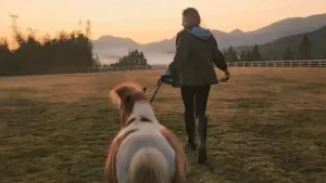 Horse Death Poems & Memorial Quotes to Honor a Beloved Companion (2)
