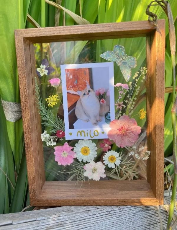 Shadow Box Frames for Pets 1 Floral Memory Frame for Cats – Real Pressed Flowers & Glass Display