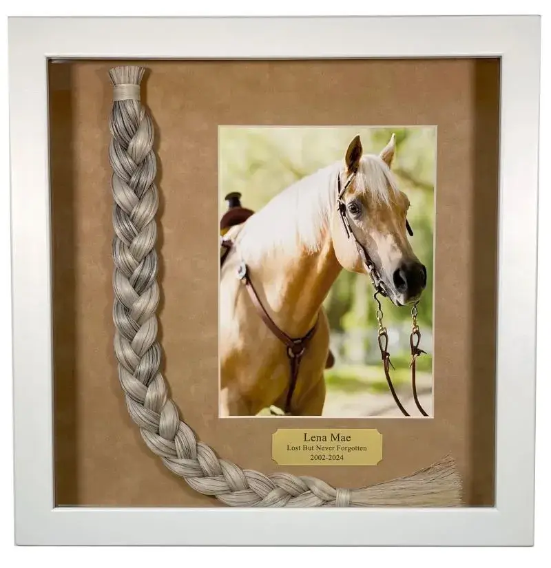 Horse Memorial Frame​