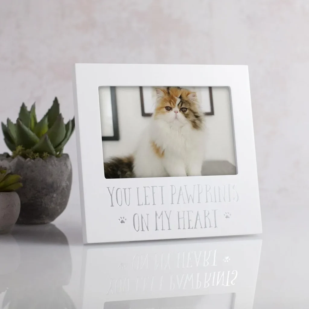 Photo Frames for Cat 1 White Keepsake Frame with Soft-Tone Message