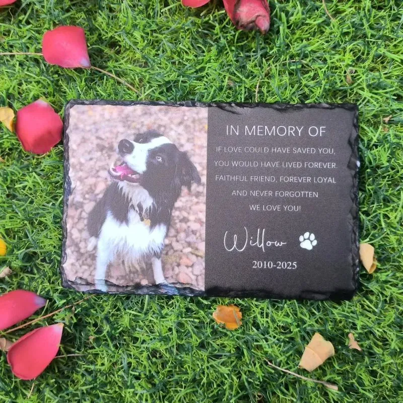 Slate Memorial Stones for Pets 4 ③ Slate + Photo Combo