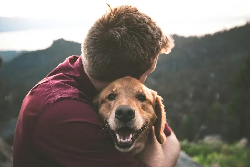 Jake Williams – Writing About Dog Memory, Gardens & Remembrance 9 Dog Memorial Songs: Healing Playlists for Saying Goodbye