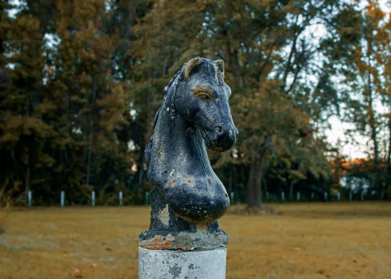 How Horse Owners Around the World Remember Their Companions 3 Horse Farm