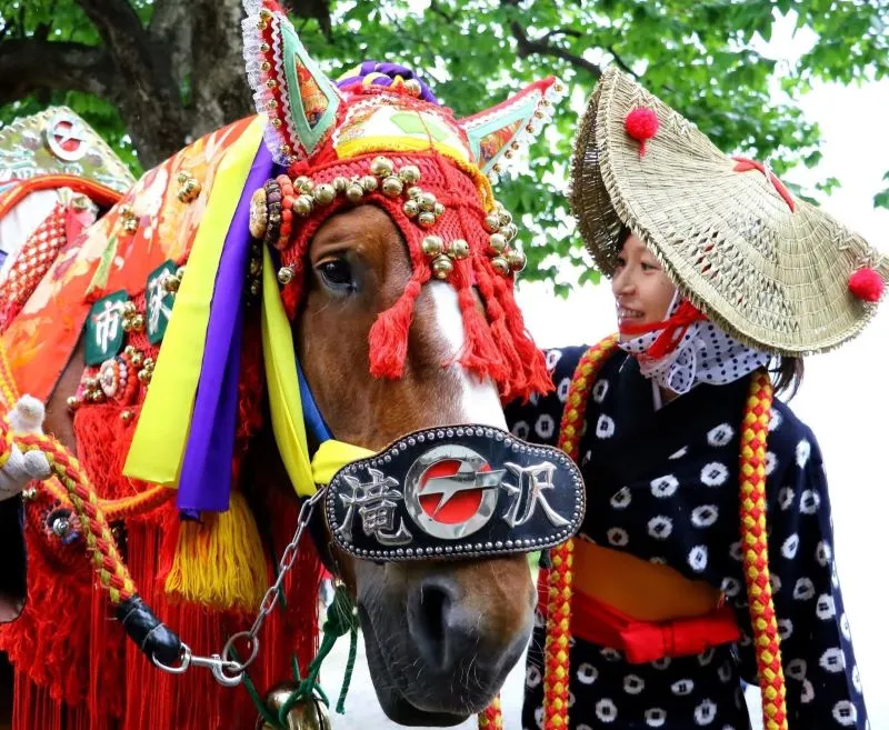 How Horse Owners Around the World Remember Their Companions 1 How Horse Owners Around the World Remember Their Companions 9
