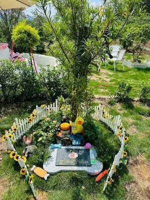 Pet Memorial Garden Ideas DIY Projects, Themes & Meaningful Touches (10)