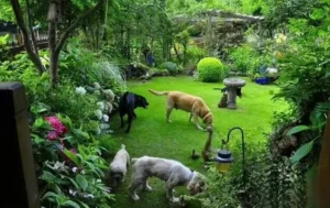 Horse Memorial Guide 12 Pet Memorial Garden Ideas DIY Projects, Themes & Meaningful Touches (2)