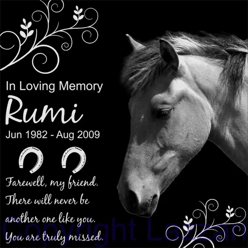 Memorial Stone for Horse 3 Photo Memorial Stones