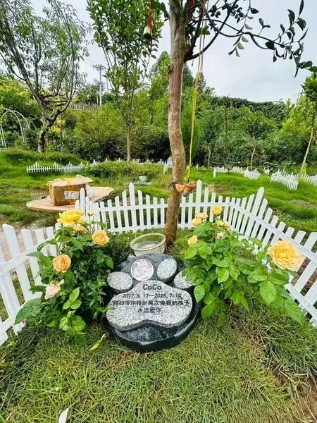 Plant a Tree in Memory of Your Pet: Dog, Cat & Horse Memorial Planters 1 Plant a Tree in Memory of Your Pet Dog, Cat & Horse Memorial Planters