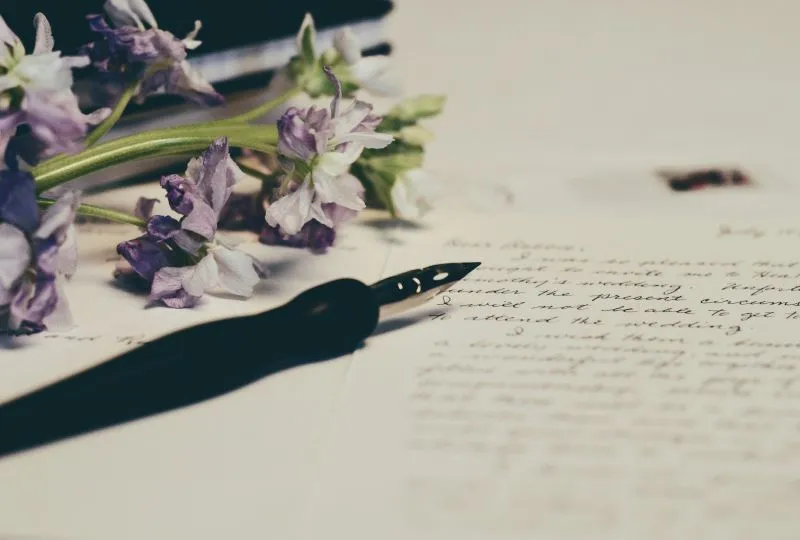 Writing a Letter to a Horse Who Passed Away 2 Writing a Letter to a Horse Who Passed Away 2