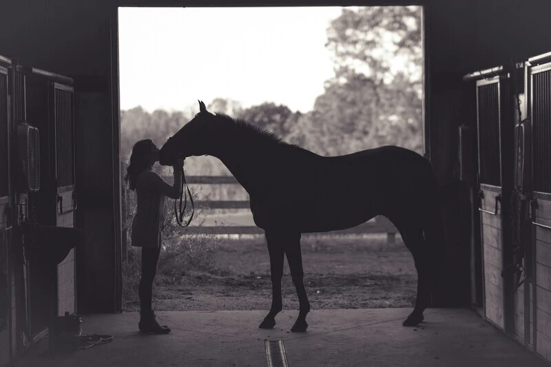 Rainbow Bridge Poem for Horses – 6 Heartfelt Versions & Ways to Use Them 2 horse memorial 1