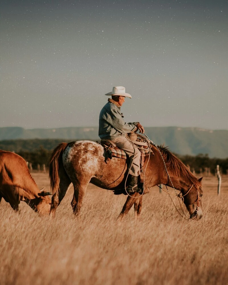 Rainbow Bridge Poem for Horses – 6 Heartfelt Versions & Ways to Use Them 3 horse memorial 2