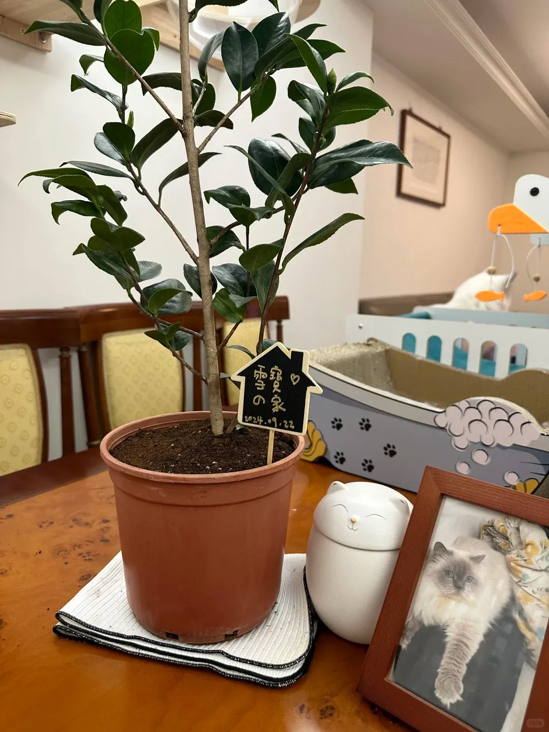 Mini Flower Pot Shrine