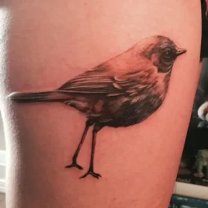 Bird Memorial Tattoos & Symbolism 16 Birds with Symbolic Meanings (3)