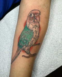 Bird Memorial Tattoos & Symbolism 15 Birds with Symbolic Meanings (3)