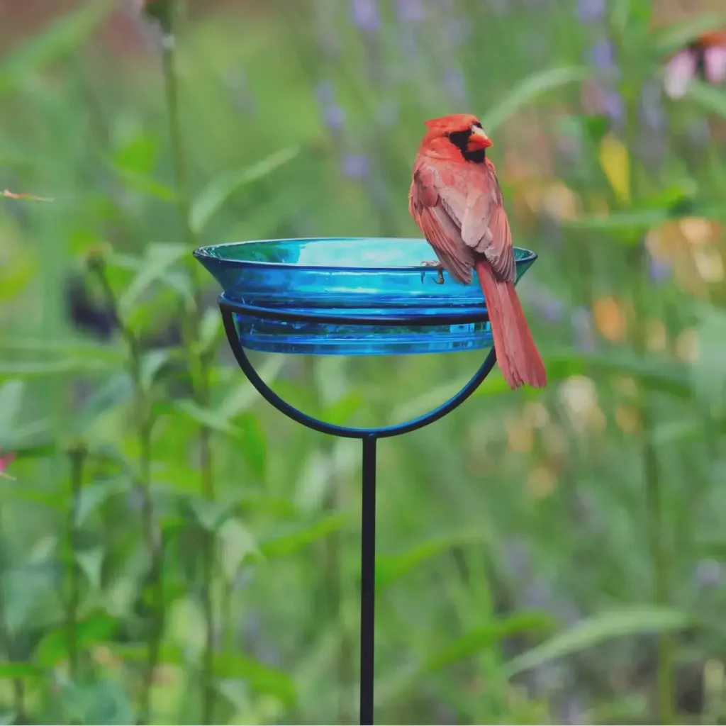 Memorial Bird Baths 1 Blue Glass Bowl Bird Bath with Garden Stake