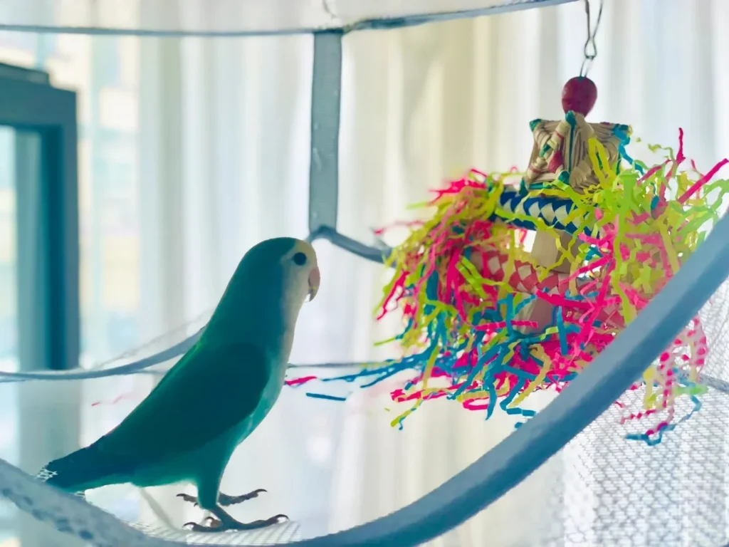 Do Birds Have Good Memory Exploring the Science and Soul of Avian Intelligence
