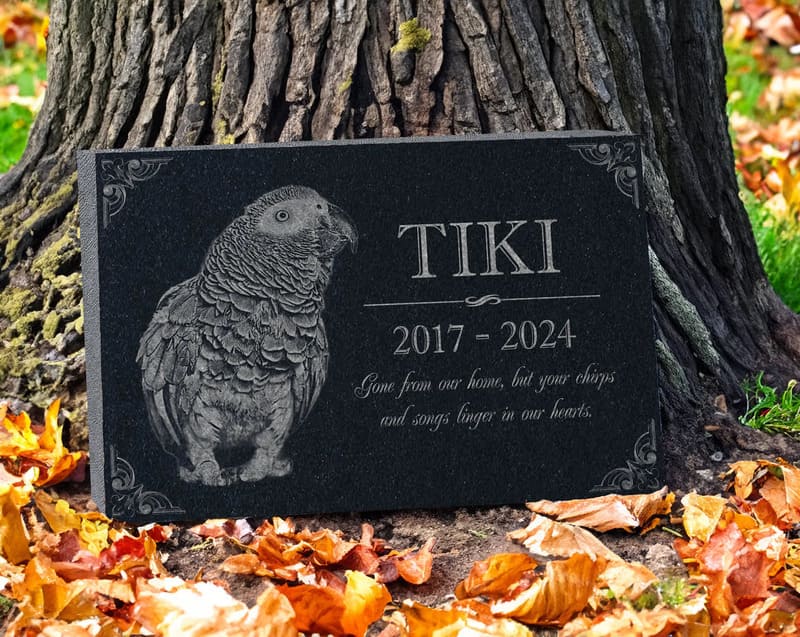 Engraved Granite Plaque for Parrots