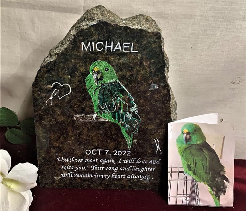 Hand-Painted Parrot Portrait Memorial Stone