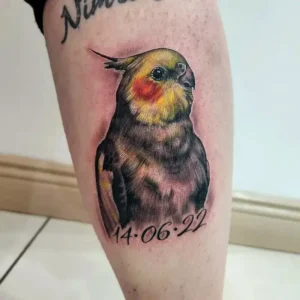 Bird Memorial Tattoos & Symbolism 1 Realistic Portrait Tattoos (2)