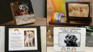 5 Beautiful Rainbow Bridge Memorial Frames for Pets
